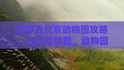 汉中去北京动物园旅游
