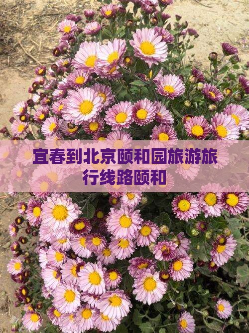 宜春到北京颐和园旅行社