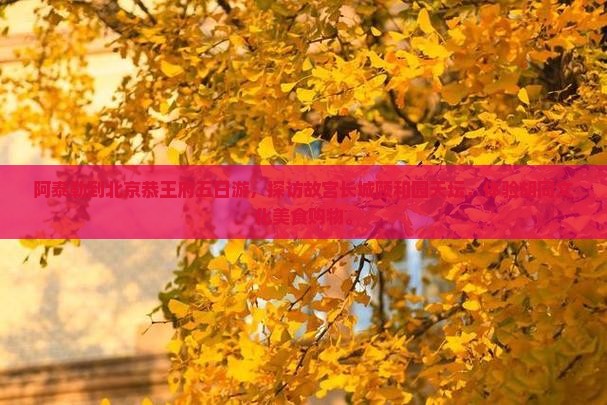 阿泰勒到北京恭王府五日游