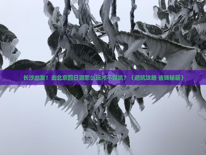 长沙去北京四日游