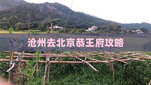沧州去北京恭王府自由团