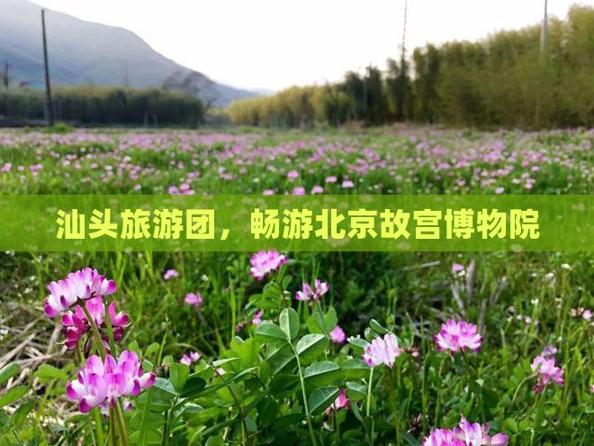 汕头到北京故宫博物院大型旅游团