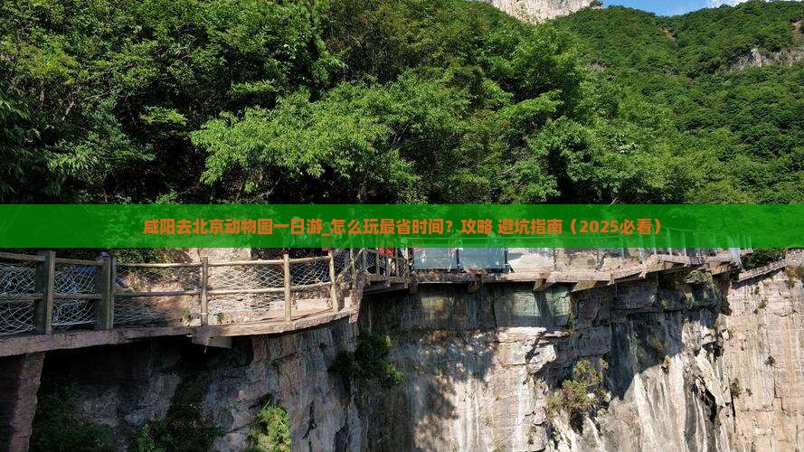 咸阳去北京动物园一日游