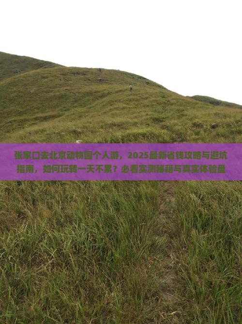 张家口去北京动物园个人游