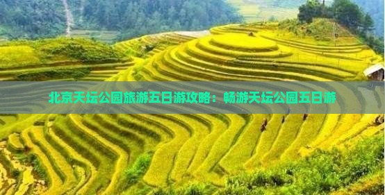 雅安去北京天坛公园五日游