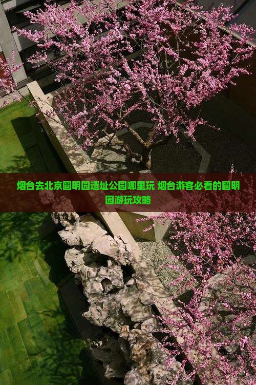 烟台去北京圆明园遗址公园哪里玩