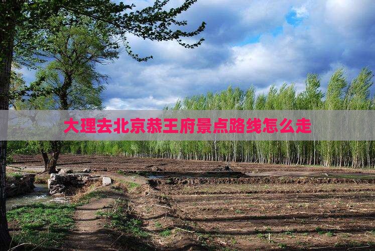 大理去北京恭王府景点