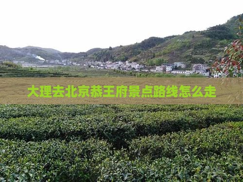 大理去北京恭王府景点