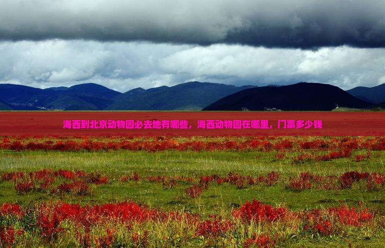 海西到北京动物园必去地