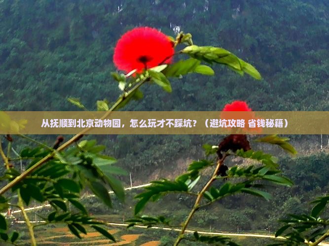 抚顺去北京动物园自由行