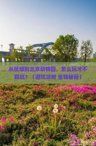 抚顺去北京动物园自由行