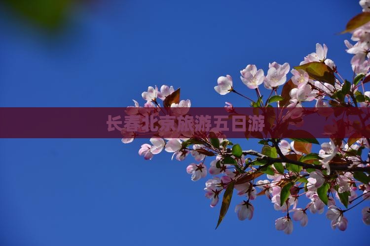 长春到北京环球度假区五日游