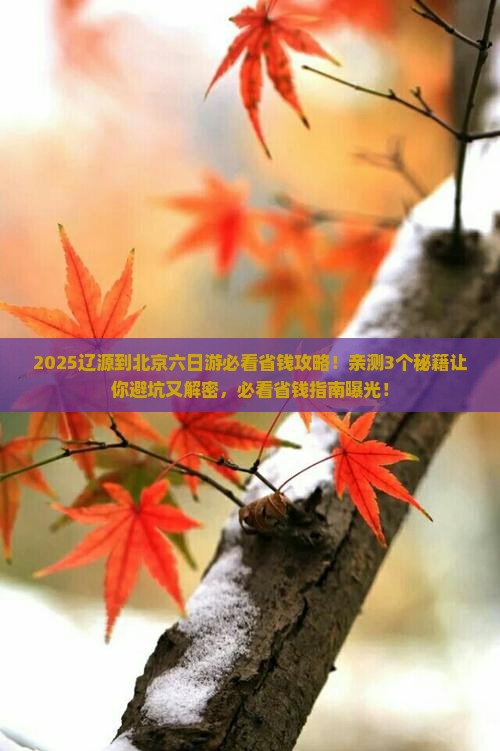 辽源到北京六日游