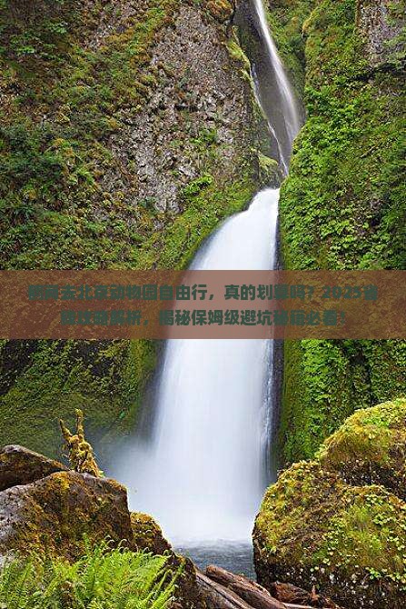 鹤岗去北京动物园自由行