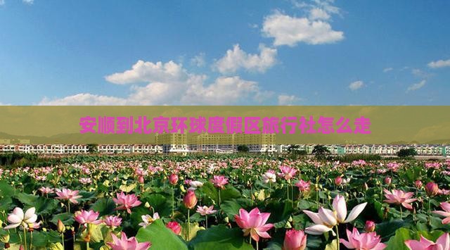 安顺到北京环球度假区旅行社