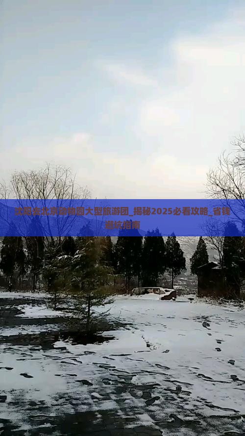 沈阳去北京动物园大型旅游团