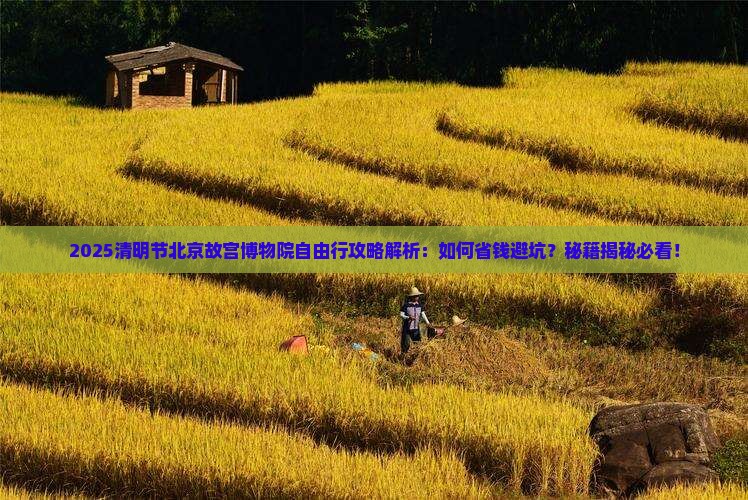 清明节去北京故宫博物院自由行