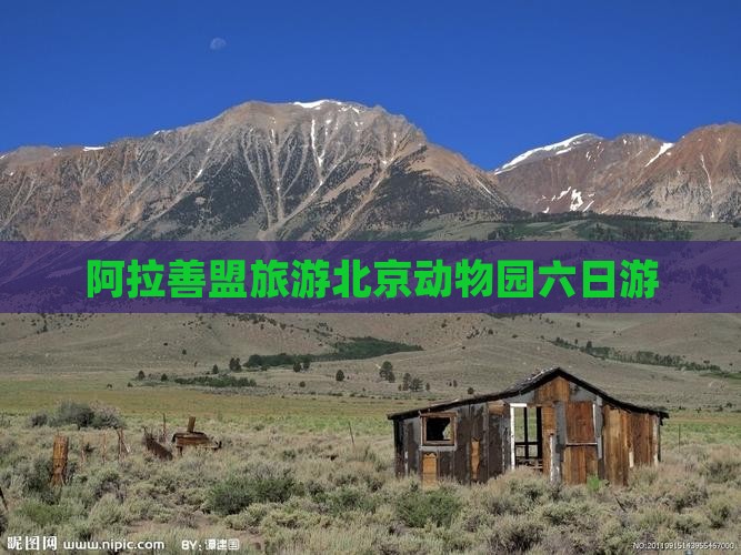 阿拉善盟去北京动物园六日游