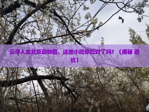 云浮去北京动物园旅游小吃