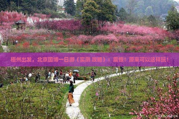 梧州到北京中国国家博物馆一日游