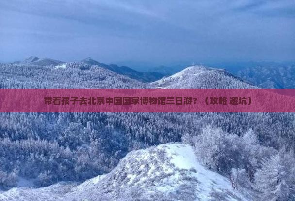 元旦去北京中国国家博物馆三日游