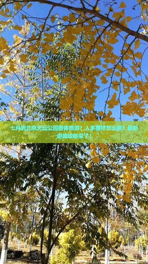 七月到北京天坛公园团体旅游
