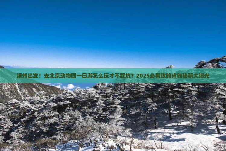 滨州去北京动物园一日游
