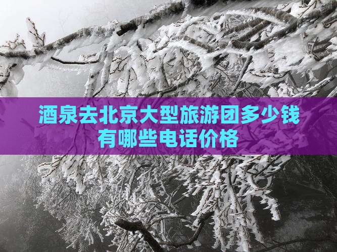 酒泉去北京大型旅游团
