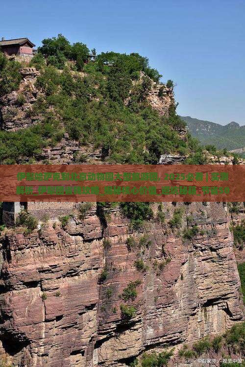 伊犁哈萨克到北京动物园大型旅游团