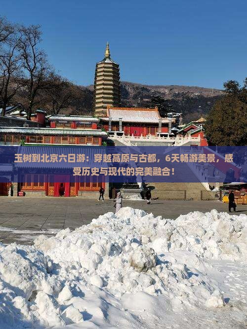 玉树到北京六日游