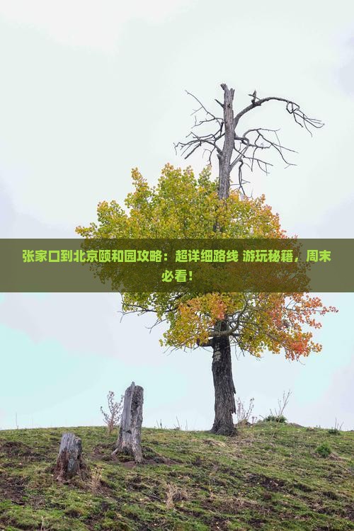 张家口到北京颐和园攻略