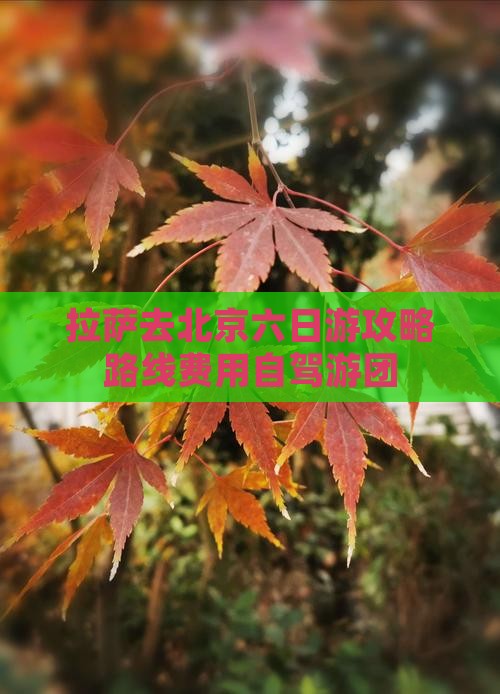 拉萨去北京六日游