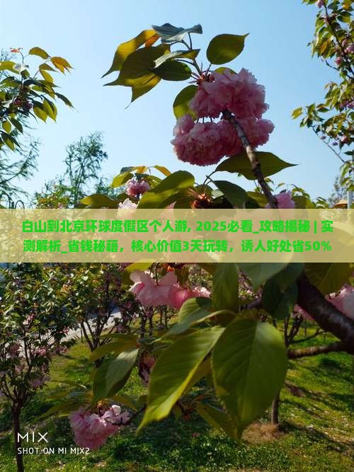 白山到北京环球度假区个人游