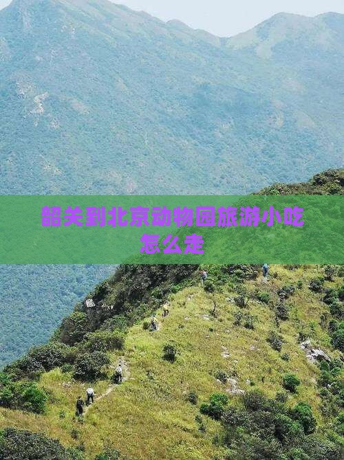 韶关到北京动物园旅游小吃