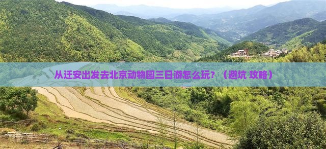 迁安到北京动物园三日游 迁安到北京动物园三日游