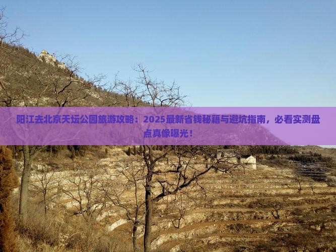 阳江去北京天坛公园旅游