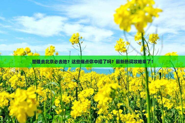 楚雄去北京必去地