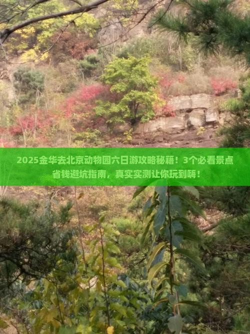金华去北京动物园六日游