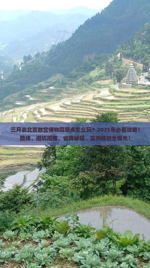 三月到北京故宫博物院景点