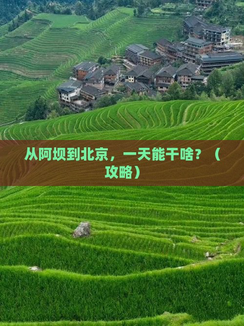 阿坝去北京一日游