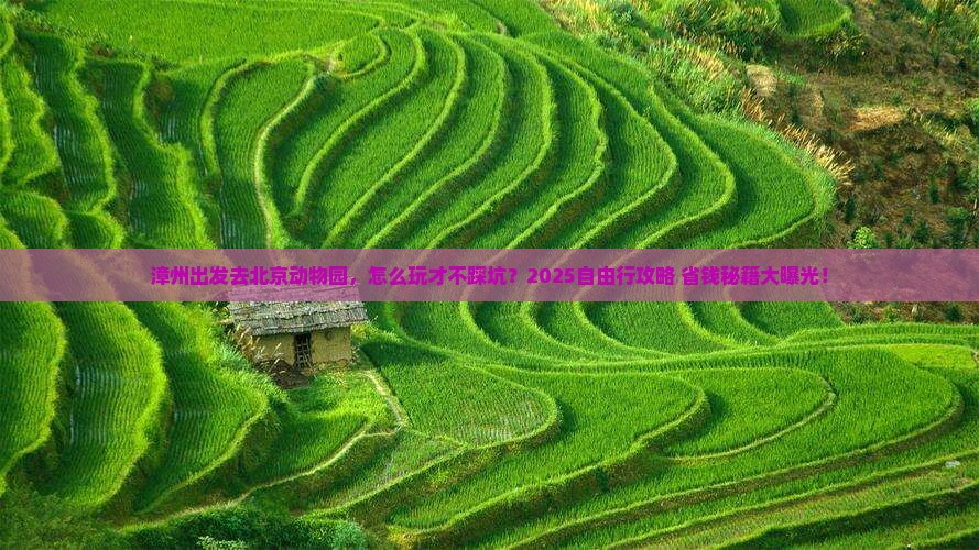 漳州到北京动物园自由行