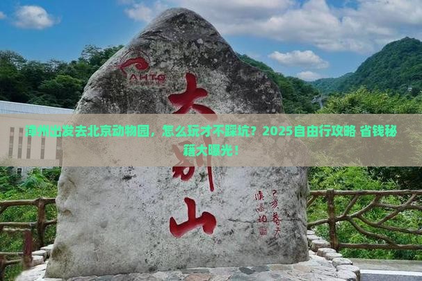 漳州到北京动物园自由行