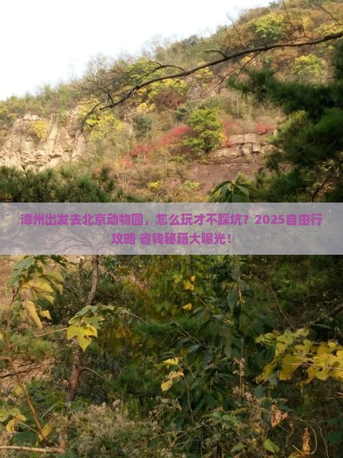 漳州到北京动物园自由行