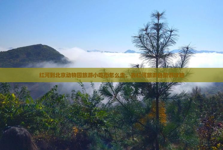 红河到北京动物园旅游小吃