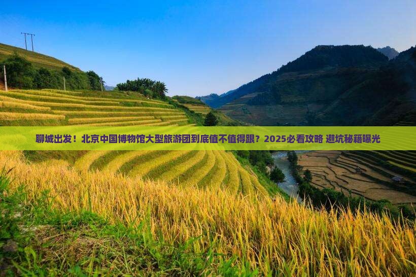聊城到北京中国国家博物馆大型旅游团