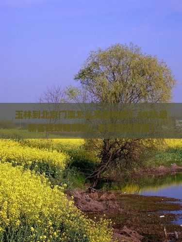 玉林到北京门票