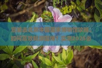 宣城去北京中国国家博物馆攻略