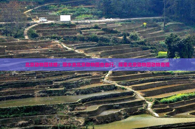 丽水去北京动物园自由行
