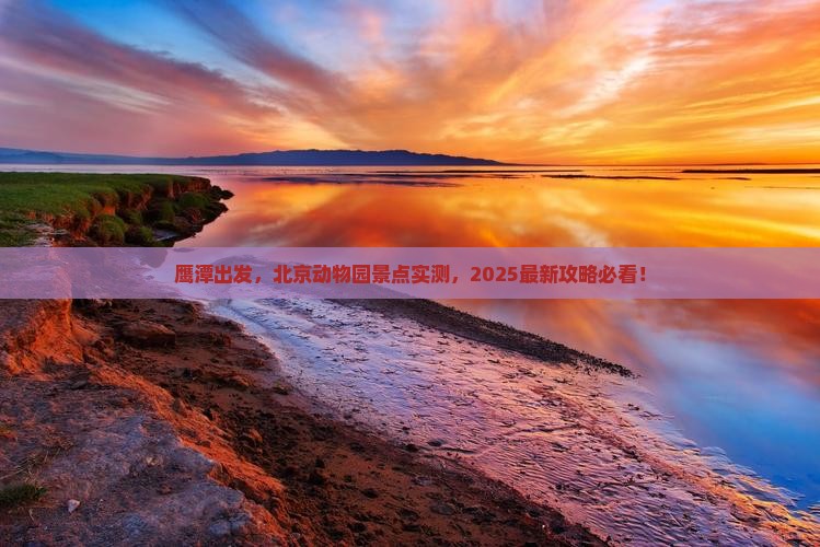 鹰潭到北京动物园景点