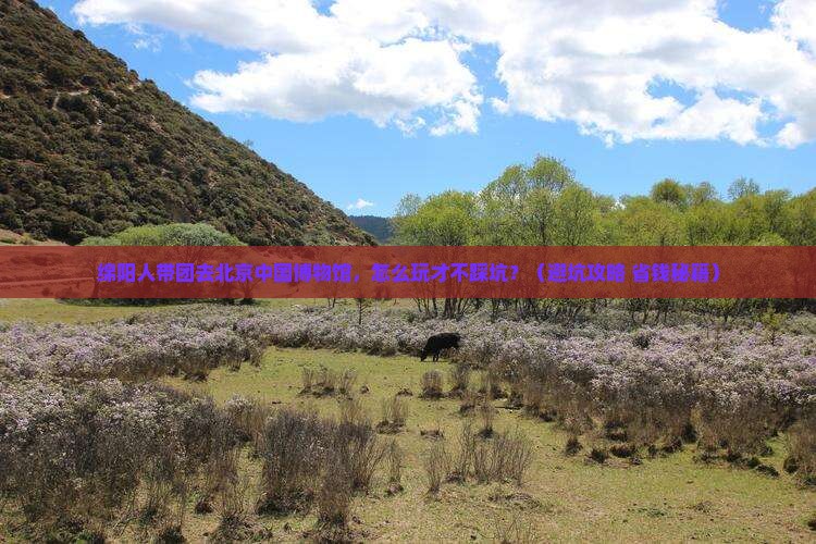 绵阳去北京中国国家博物馆团体旅游